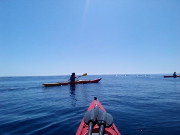 Ibiza: 3-Hour Cliff Kayaking Tour With Snorkeling - The Sum Up