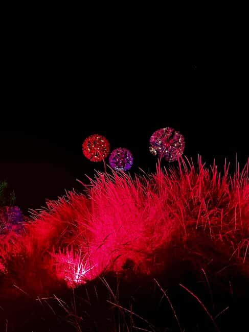 IBIZA: Astro Magic Lights at Bibo Park - Exploring Bibo Park: Europe’s Most Innovative Botanical Garden