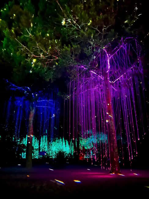 IBIZA: Astro Magic Lights at Bibo Park - The Light Show and Visual Effects