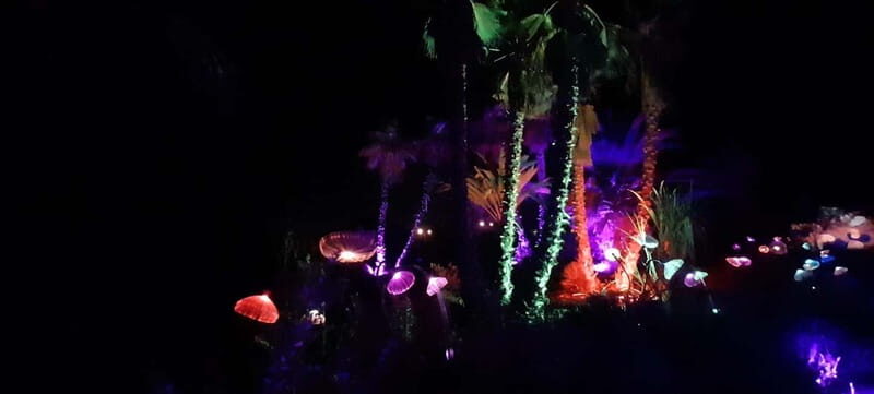 IBIZA: Astro Magic Lights at Bibo Park - Guided Nocturnal Walk and Atmosphere