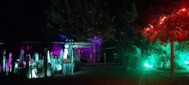 IBIZA: Astro Magic Lights at Bibo Park - Exploring the Night Sky