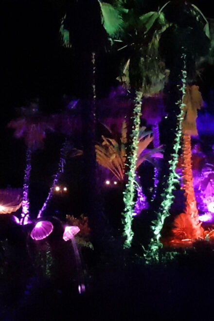 IBIZA: Astro Magic Lights at Bibo Park - Immersive Lighting and Projections