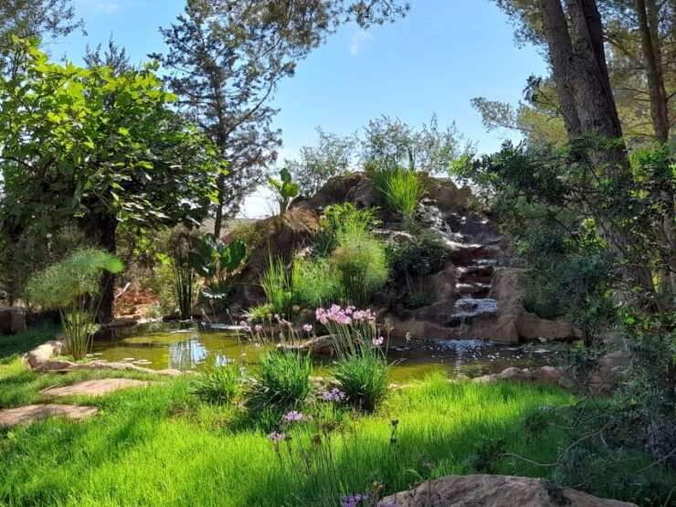 Ibiza: BIBO PARK Ibiza Botanical Biotechnological - Good To Know