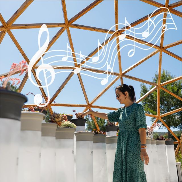 Ibiza: BIBO PARK Ibiza Botanical Biotechnological - Activity Description and Cancellation Policy