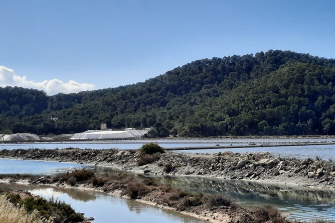 Ibiza: Bicycle Excursion in Las Salinas Natural Park - Special Offer
