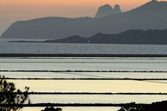 Ibiza: Bicycle Excursion in Las Salinas Natural Park - Directions