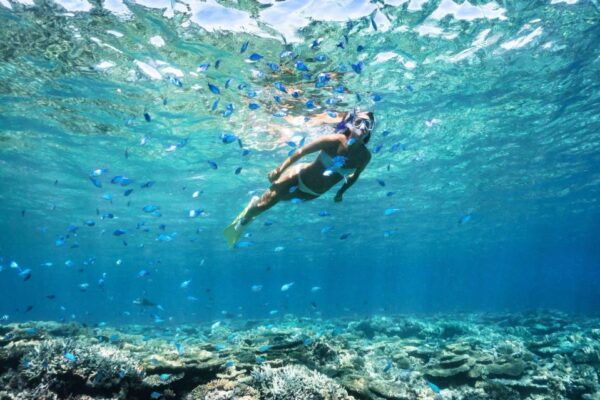 Ibiza: Boat Trip to Formentera With Open Bar & Paella - Frequently Asked Questions