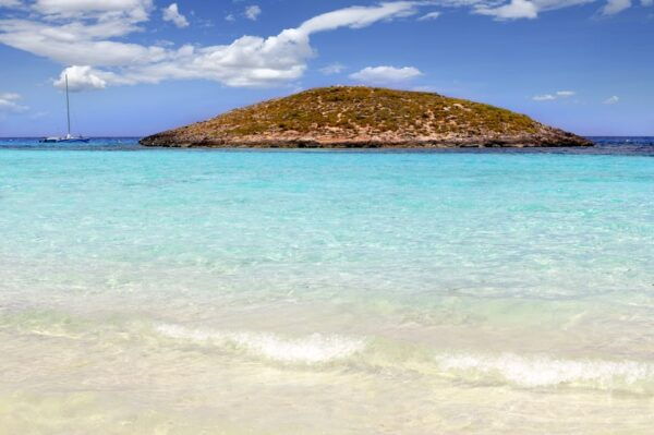 Ibiza: Catamaran Cruise to Formentera With Meal and Drinks - Customer Ratings and Feedback