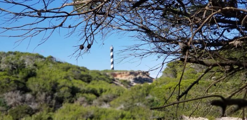 Ibiza: Crystal Coast Walk with Swim Stop - Good To Know