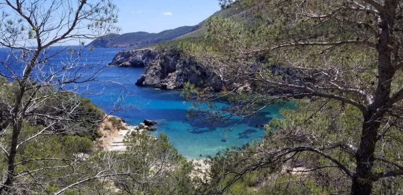 Ibiza: Crystal Coast Walk with Swim Stop - Who Will Love This Tour?