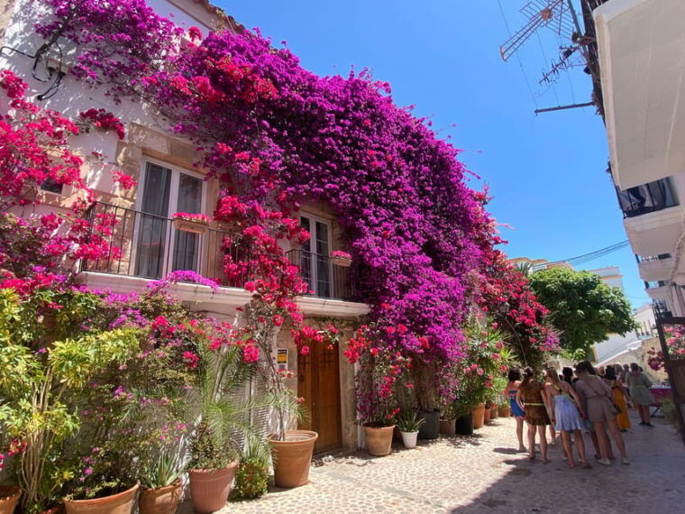 Ibiza: Dalt Vila Walking Tour With Sangría Workshop - Meeting Point