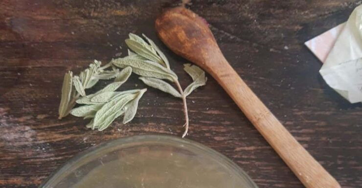 IBIZA : DIY Regenerating & Anti-Red Cream From IBIZA Plants - Good To Know