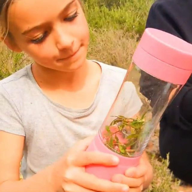IBIZA : DIY Regenerating & Anti-Red Cream From IBIZA Plants - Souvenirs Included in the Experience