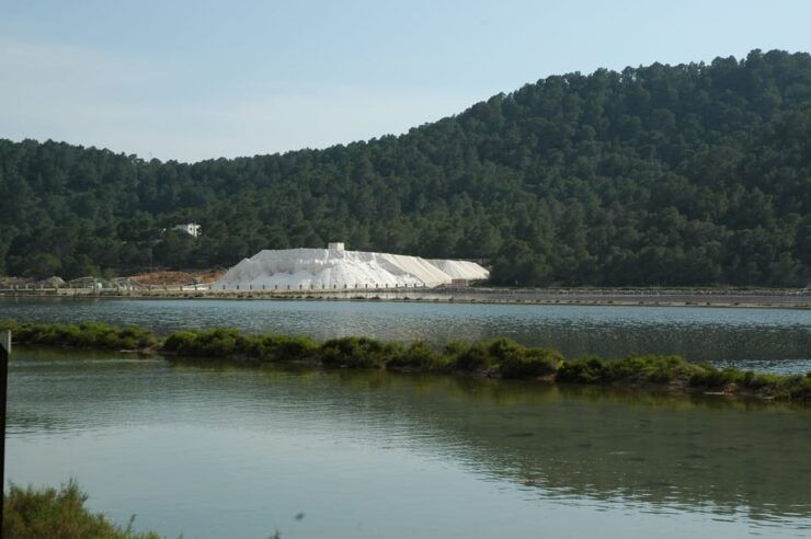 Ibiza: Full-Day Excursion and Visit to a Hippy Market - Good To Know