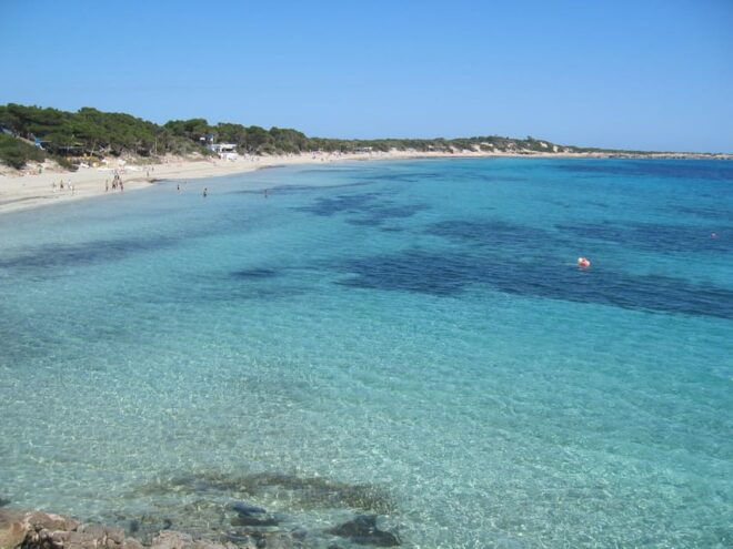 Ibiza: Full-Day Excursion and Visit to a Hippy Market - Participant Information