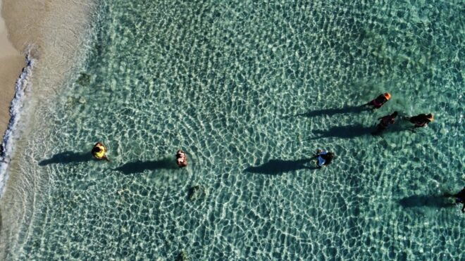 Ibiza: Full Day Sailing Boat Tour to Formentera W/ Paddle - Small Group Experience