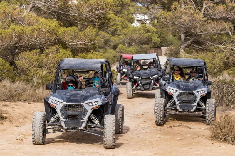 Ibiza: Guided Buggy Tour with Beach Stops - Exploring Ibiza Through a Different Lens