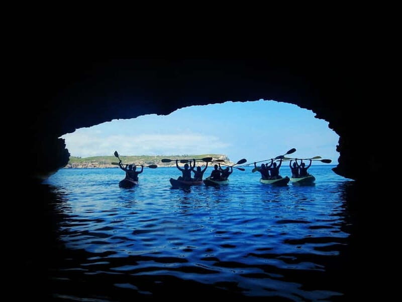 Ibiza: Guided Kayaking,caves,snorkel Tour - Good To Know