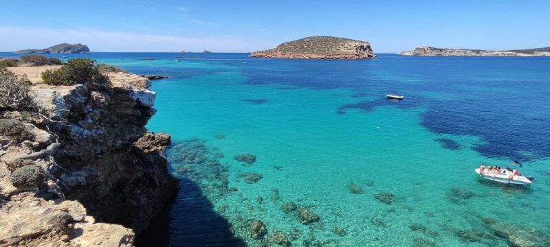 Ibiza: Guided Snorkeling Trip - The Value of the Experience
