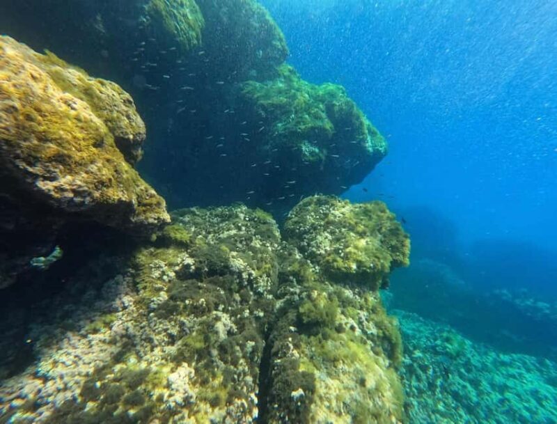 Ibiza: Guided Snorkeling Trip - FAQs