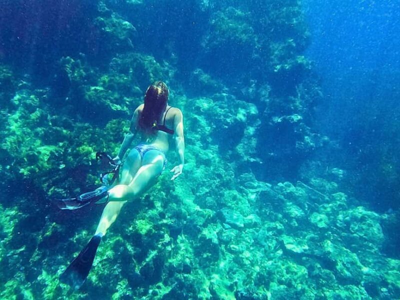 Ibiza: Guided Snorkeling Trip - Final Thoughts