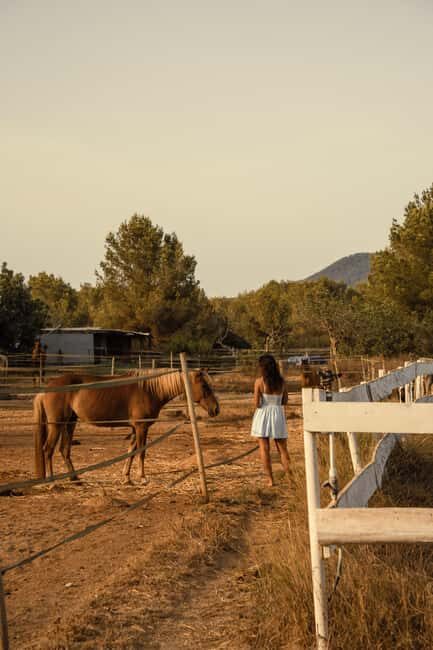 Ibiza: Horseback Ride Nature Experience + Picnic +Transport - The Experience on the Trail