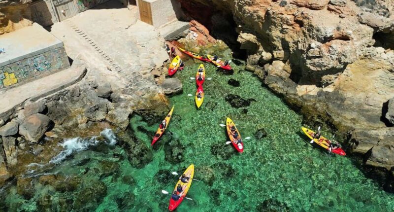 Ibiza: Kayak & Snorkel in Sea Caves and Crystal Waters - Good To Know