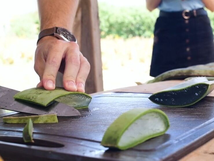 IBIZA : MADE in IBIZA PRODUCTS (Food and Drink Tour) - Tour Pricing and Details