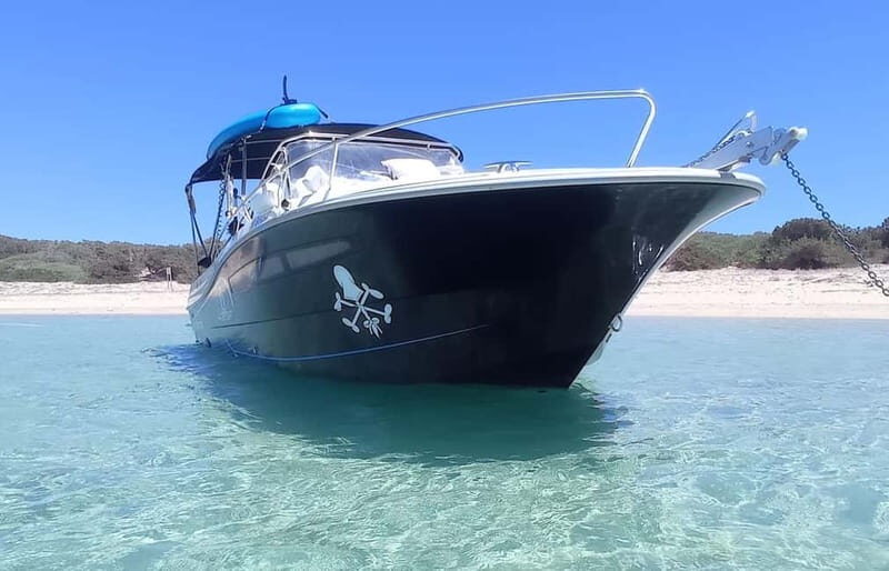 Ibiza: "north of the island" tour from the sea in a private boat - An In-Depth Look at the Itinerary  