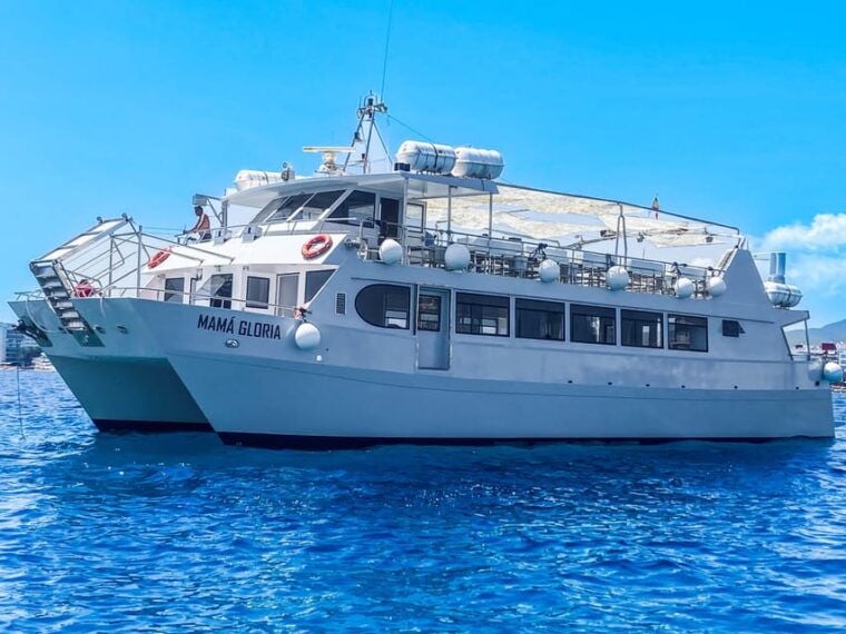 Ibiza: Premium Party on VIP Catamaran With DJS and Disco Entrance - What to Bring for a Smooth Experience