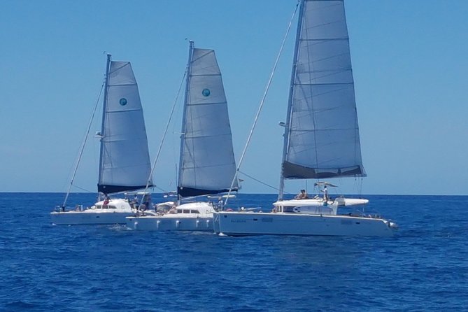 Ibiza Private Cala D'Hort Catamaran Tour - Inclusions
