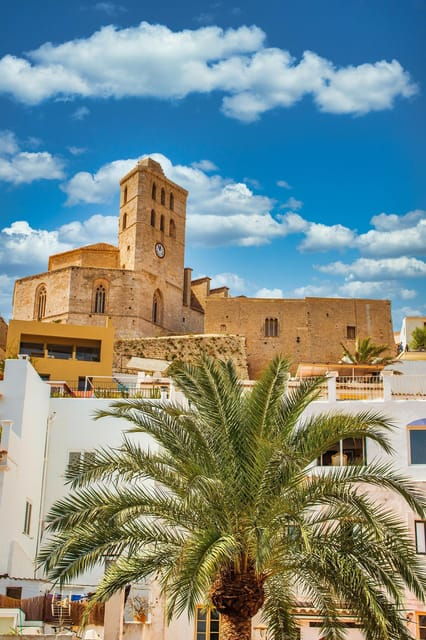 Ibiza Private Guided City Tour - Experiencing Ibizas Vibrant Nightlife