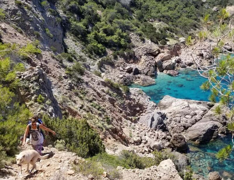 Ibiza: Private Hiking Tour with Local Guide - Good To Know