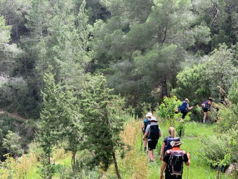 Ibiza: Private Hiking Tour with Local Guide - FAQs