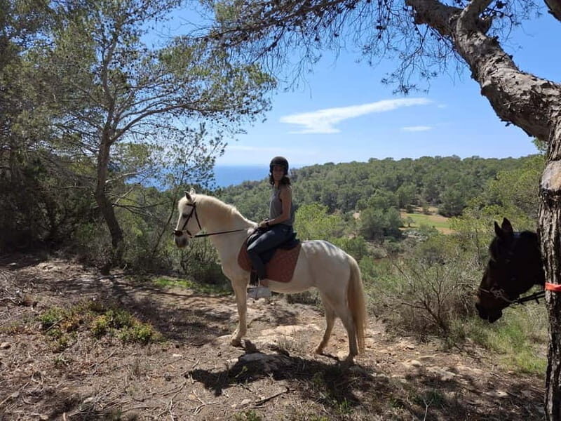 Ibiza: Private Horseback Ride + Transport & Optional Picnic - Good To Know