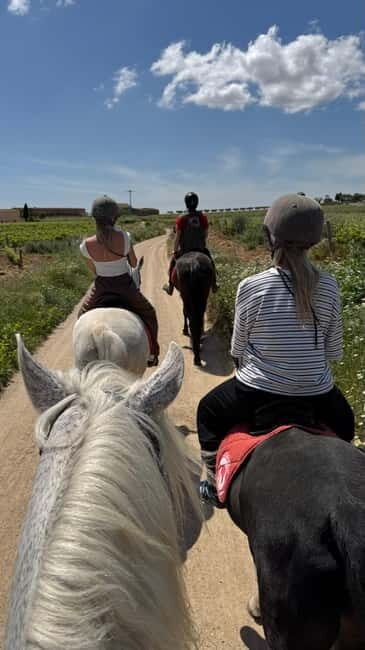 Ibiza: Private Horseback Ride + Transport & Optional Picnic - Exploring Ibiza on Horseback: What You Can Expect