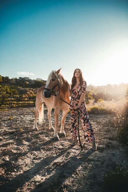 Ibiza: Private Horseback Ride + Transport & Optional Picnic - Why This Tour Works Well