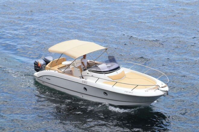 Ibiza: Rent a 9-Person Private Boat, Formentera & Highlights - Full Description