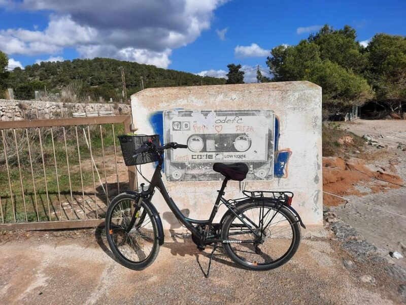 Ibiza: Salines Bike Tour to See Flamingos and Salt - Exploring the Historical Sites