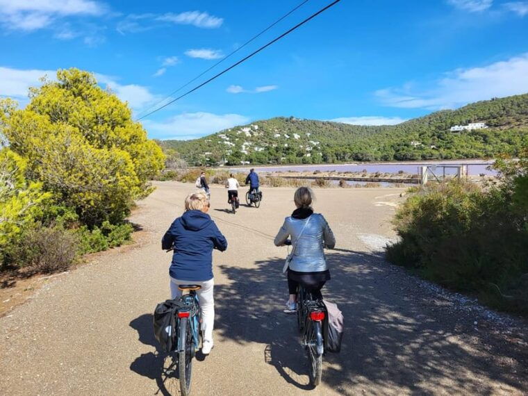 Ibiza: Salines Bike Tour to See Flamingos and Salt - Encountering the Natural Beauty