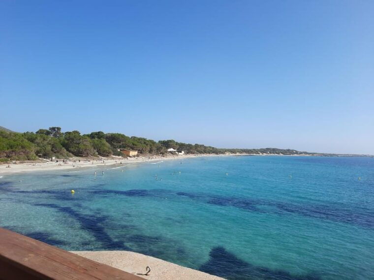 Ibiza: Salines Bike Tour to See Flamingos and Salt - Scenic Views and Contrasts