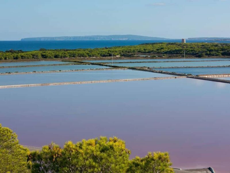 Ibiza: Salt Beds, Es Vedra & Time and Space Half-Day Tour - Who This Tour Is Best For