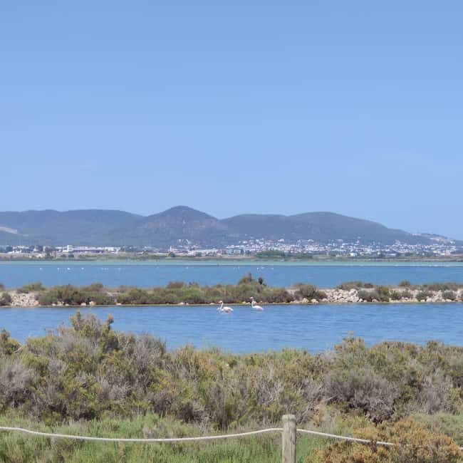 Ibiza: Salt Beds, Es Vedra & Time and Space Half-Day Tour - Final Thoughts: Is It Worth It?