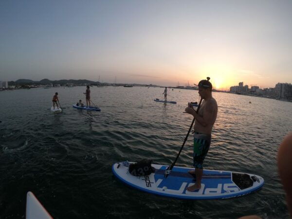 Ibiza: San Antoni Bay Paddleboards Rental - The Sum Up