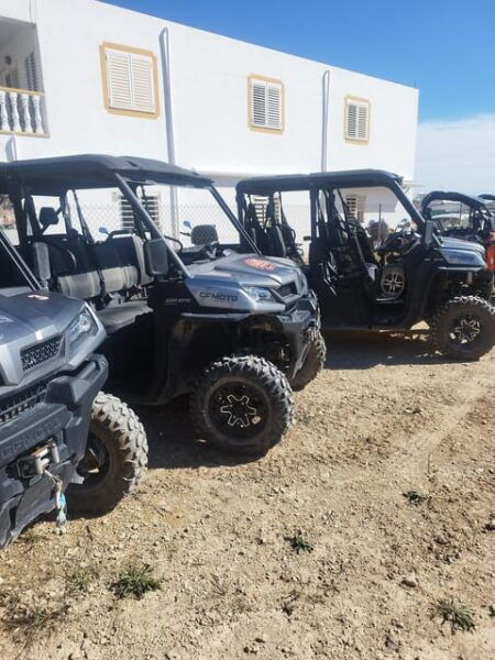 Ibiza: Santa Eulalia Buggy Sightseeing Tour - Customer Reviews