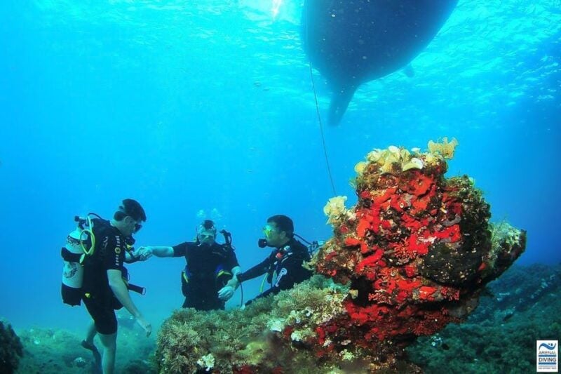 Ibiza Scuba Diving for Beginners and Snorkeling - Activity Details
