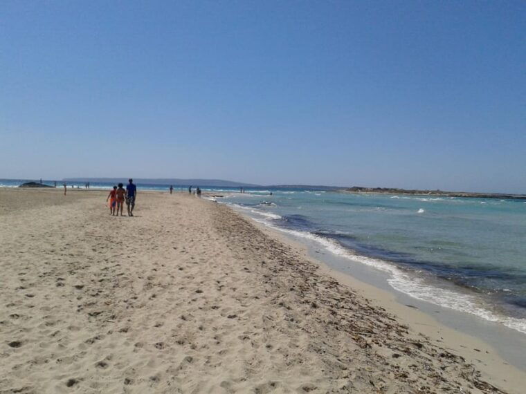 IBIZA Sea Excursion to Illetas With Paella and Drink - Transportation and Pickup