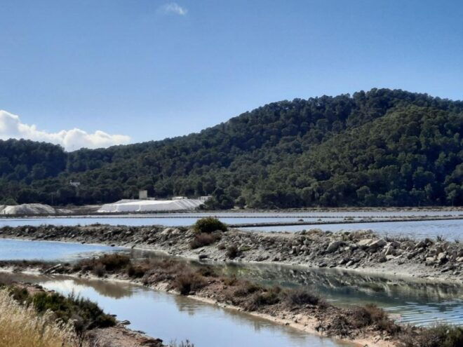Ibiza: Ses Salinas Bike Tour - Experience Description