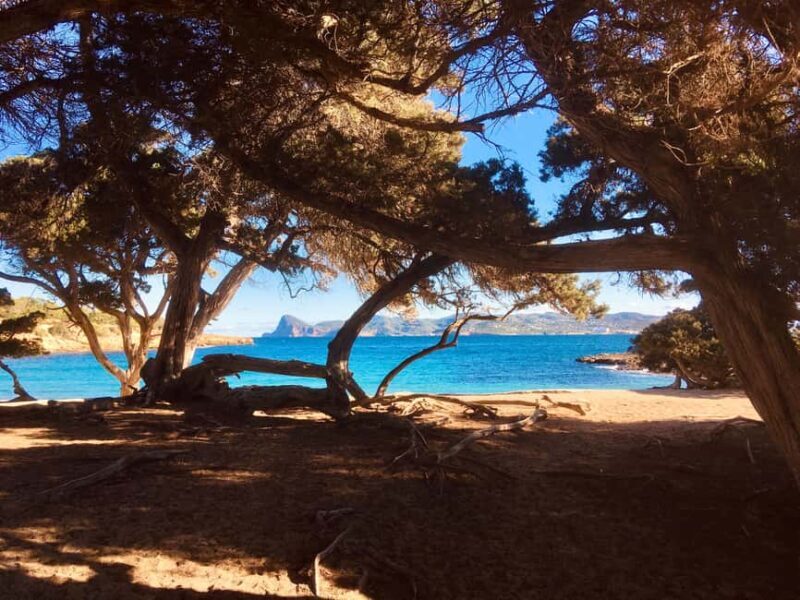 Ibiza shore excursion - Private tour - In-Depth Look at the Tour Details