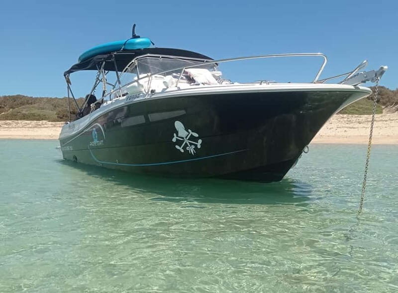 Ibiza: short "north of the island" tour from the sea in a private boat - Good To Know